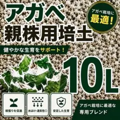 【アガベ 親株用培土 10L】オリジナルブレンド培土のサムネイル