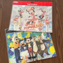 東京ディズニーリゾート クリアファイル 2枚セット