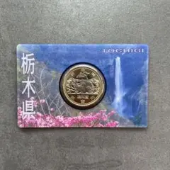 2025年最新】地方自治法施行六十周年記念 500円バイカラーの人気
