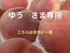 山梨一宮の甘い桃 特大6個詰めて発送 美味しいょ - メルカリ