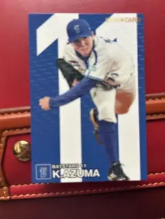 東克樹　ベイスターズ　カード　プロ野球チップス