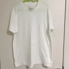 Item thumbnail for item a4e3d834-ae9b-402b-a8d3-5f98035a3611