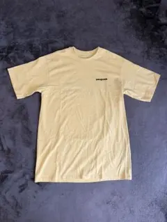 patagonia パタゴニア　Tシャツのサムネイル
