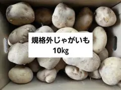 熊本県産 メークイン 無農薬栽培 10kg 新じゃが - メルカリ