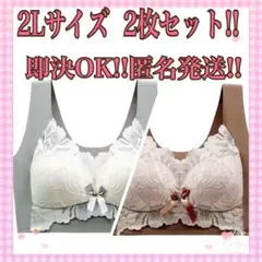 スポーツブラ ノンワイヤーブラ シームレスブラ バストケア 2色 2Lサイズ