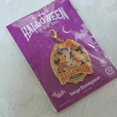 ディズニー来場者限定記念チャーム