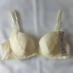 Item thumbnail for item ea3d4a32-0440-4d32-b3dd-0b408d7dfb73