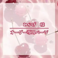 みかげ様 ぬい服 着ぐるみ オーダー 専用ページ