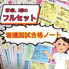激安‼️ 看護師国家試験まとめノート 付箋ノート 国試 解剖生理学 看護学生