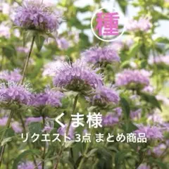 くま様 リクエスト 3点 まとめ商品