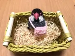 Item thumbnail for item 066c5796-c50c-403b-b03e-73e08466fc73