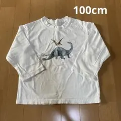 【美品】恐竜プリント長袖Tシャツ Mサイズ