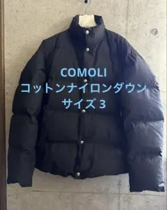 Item thumbnail for item 5133a54d-26e8-4053-b1b1-11d8dff4d357