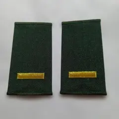 Item thumbnail for item 4c15027c-3b7b-4019-bc3e-644202abead9