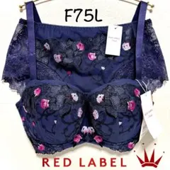 F75L レッドレーベル バイ トリンプ0104 ブラ＆ショーツ Navy