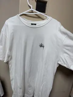 STUSSY Tシャツ Lサイズ
