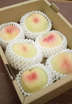 岡山県産　白桃発祥一宮産 5-6玉 とろける甘さ　清水白桃白鳳百貨店出荷　訳有りのサムネイル