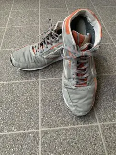 Item thumbnail for item 347295d2-31b2-494e-bac3-0c8917979805