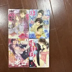 オパール文庫　恋愛小説セット 4冊のサムネイル