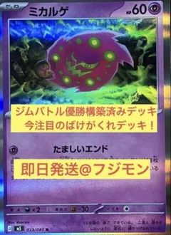 6/5 ジムバトル優勝】ばけがくれ 構築済みデッキ - メルカリ