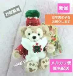 ★お値下げ★　ディズニークリスマス・ダッフィ一キーホルダー2010年　お顔厳選