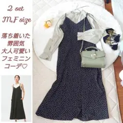 2点セット 品ある大人フェミニンセット コーデ売り まとめ売り
