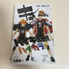 ハイキュー！！公式カラーイラスト集 ハイカラ！！