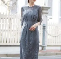 極美品✨デコルテシアー袖付き総レースIラインドレス/Dorry Doll