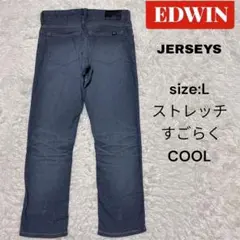 EDWIN JERSEYS デニム　Lサイズ　ストレッチ　COOL 涼しいのサムネイル