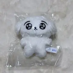 BTS ジョングク　5cm ぬいぐるみ　新品　マスター 2025年最新】ジョングク ぬいぐるみ マスターの人気アイテム - メルカリ