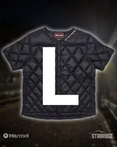 Item thumbnail for item 52a5345a-6f20-45cd-a5fc-170d65c23815