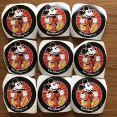 超レア 25年前 ディズニーワールド ステッカー 非売品