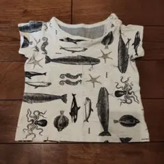 Item thumbnail for item 3a0c0d4f-ec90-4e6a-88f5-505b8c08e5a6