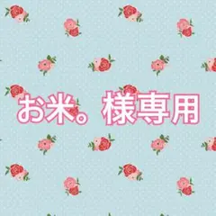 お米様専用ページ