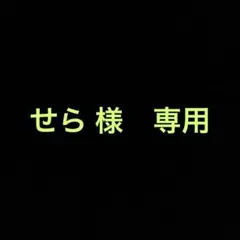 【せら 様専用】