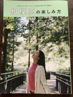 相模原の楽しみ方