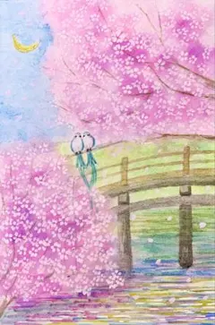みみ様専用水彩画　満開の桜と太鼓橋　値段は※900円です