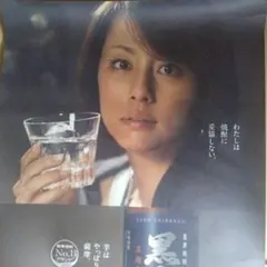 米倉涼子 ポスター/B2サイズ/米倉涼子雑誌/米倉涼子ドラマ/米倉涼子