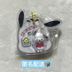 【新品未使用】サンリオキャラクターズ　パッケージチャーム　ポチャッコ