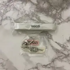 SEVENTEEN RIGHT HERE カプセルトイ ウジ WOOZI