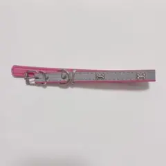 Item thumbnail for item 007afa2a-7dbb-4681-8485-98ffb3b9d645