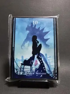 グリッドマンユニバース 宝多六花 スリーブ GRIDMAN UNIVERSE ブシロード スリーブコレクションエクストラ Vol.453 グリッドマン