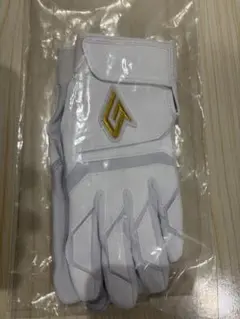 Item thumbnail for item 14fa580b-2f3a-4ef1-8033-a58d89651df2