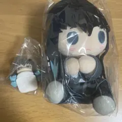 鬼滅の刃 時透無一郎 無一郎 おねむたん ぴたぬい セット