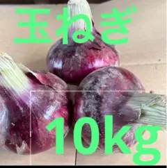 特大玉割引‼️ 畑のルビー‼️ 食べる輸血と話題の赤穂ビーツ - メルカリ