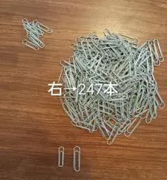 Item thumbnail for item 8d517f3e-de50-462d-ac1c-604f809aec99