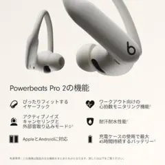 Beats Powerbeats Pro 2 ワイヤレスイヤホン クイックサンドのサムネイル