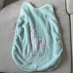 Item thumbnail for item 2e3a1180-415f-43d5-9837-88996a673395