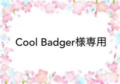 Cool Badger 様専用 2点おまとめ