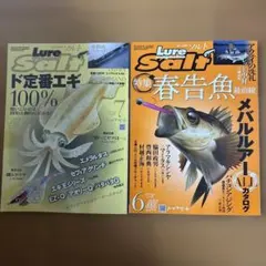 ルアー•マガジン ソルト　2020年6月号、7月号　二冊セット